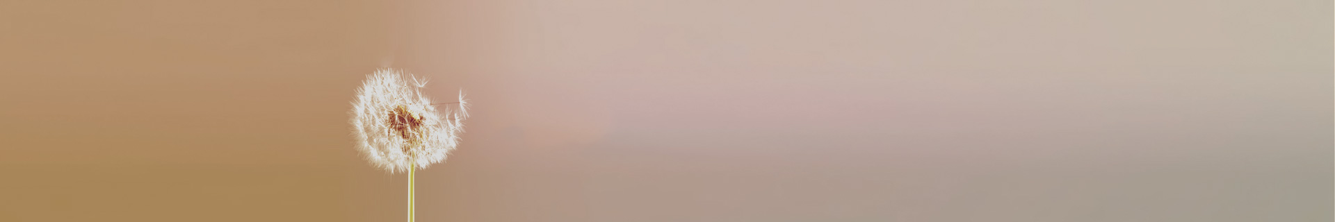 廉政舉報(bào)